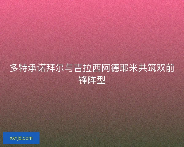 多特承诺拜尔与吉拉西阿德耶米共筑双前锋阵型 多特承诺拜尔与吉拉西阿德耶米共筑双前锋阵型
