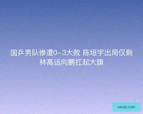 国乒男队惨遭0-3大败 陈垣宇出局仅剩林高远向鹏扛起大旗 国乒男队惨遭0-3大败 陈垣宇出局仅剩林高远向鹏扛起大旗