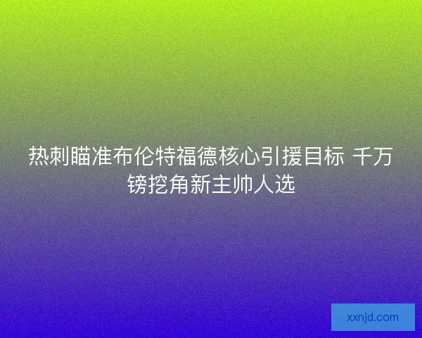 热刺瞄准布伦特福德核心引援目标 千万镑挖角新主帅人选